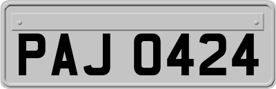 PAJ0424