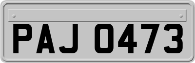PAJ0473