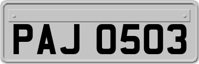 PAJ0503