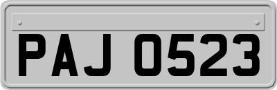 PAJ0523