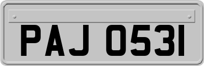 PAJ0531