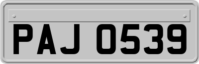 PAJ0539