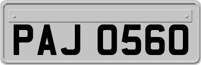 PAJ0560