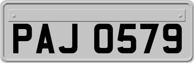 PAJ0579