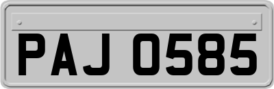 PAJ0585