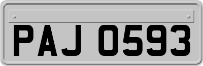PAJ0593