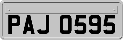 PAJ0595