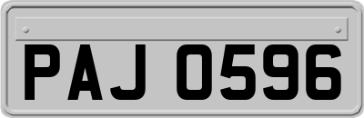 PAJ0596