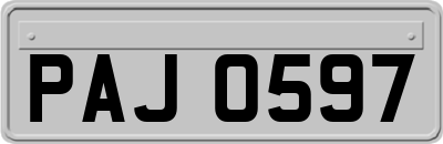 PAJ0597