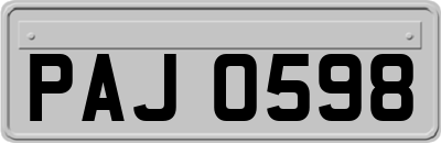 PAJ0598