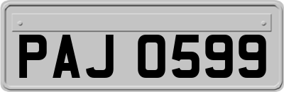 PAJ0599