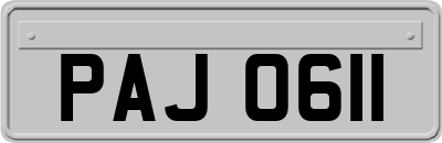 PAJ0611