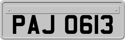 PAJ0613
