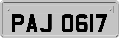 PAJ0617