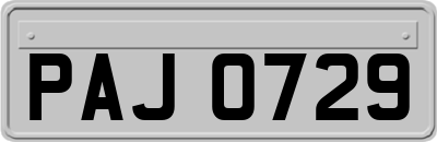 PAJ0729