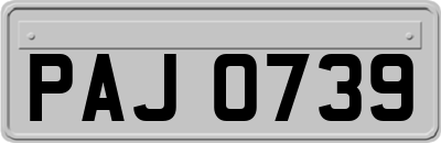PAJ0739