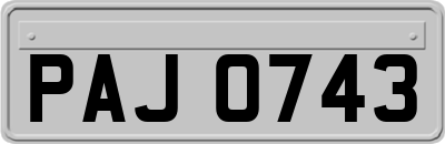 PAJ0743