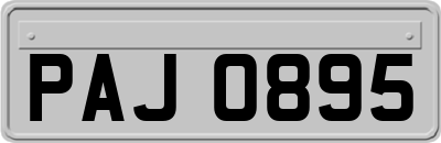 PAJ0895