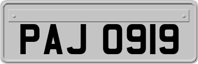 PAJ0919