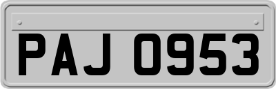 PAJ0953