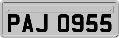 PAJ0955