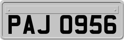 PAJ0956