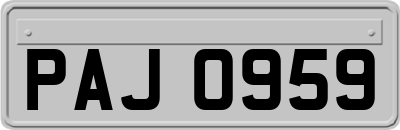 PAJ0959