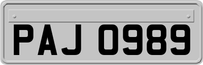 PAJ0989