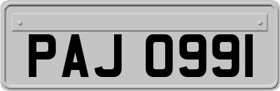 PAJ0991