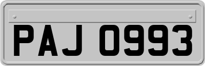PAJ0993