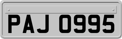 PAJ0995