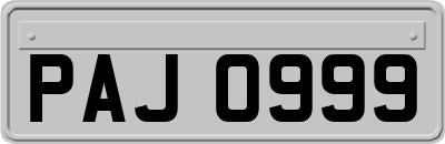 PAJ0999