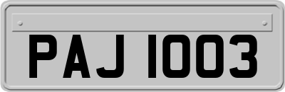 PAJ1003