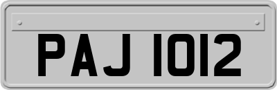 PAJ1012