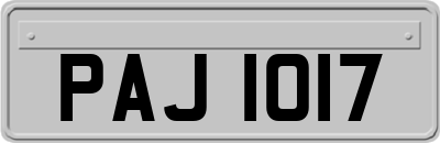 PAJ1017