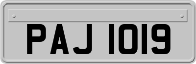 PAJ1019