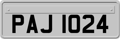PAJ1024