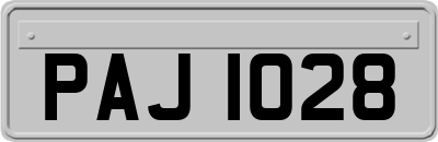 PAJ1028