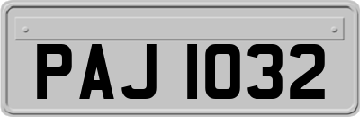 PAJ1032
