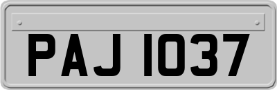 PAJ1037