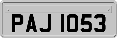 PAJ1053
