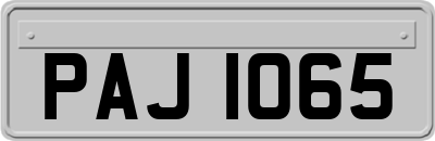 PAJ1065