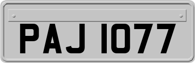 PAJ1077