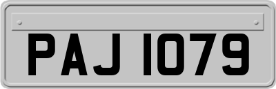 PAJ1079