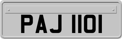 PAJ1101