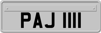 PAJ1111