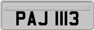 PAJ1113