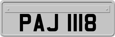 PAJ1118