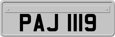 PAJ1119