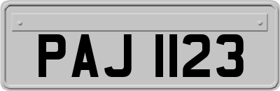PAJ1123